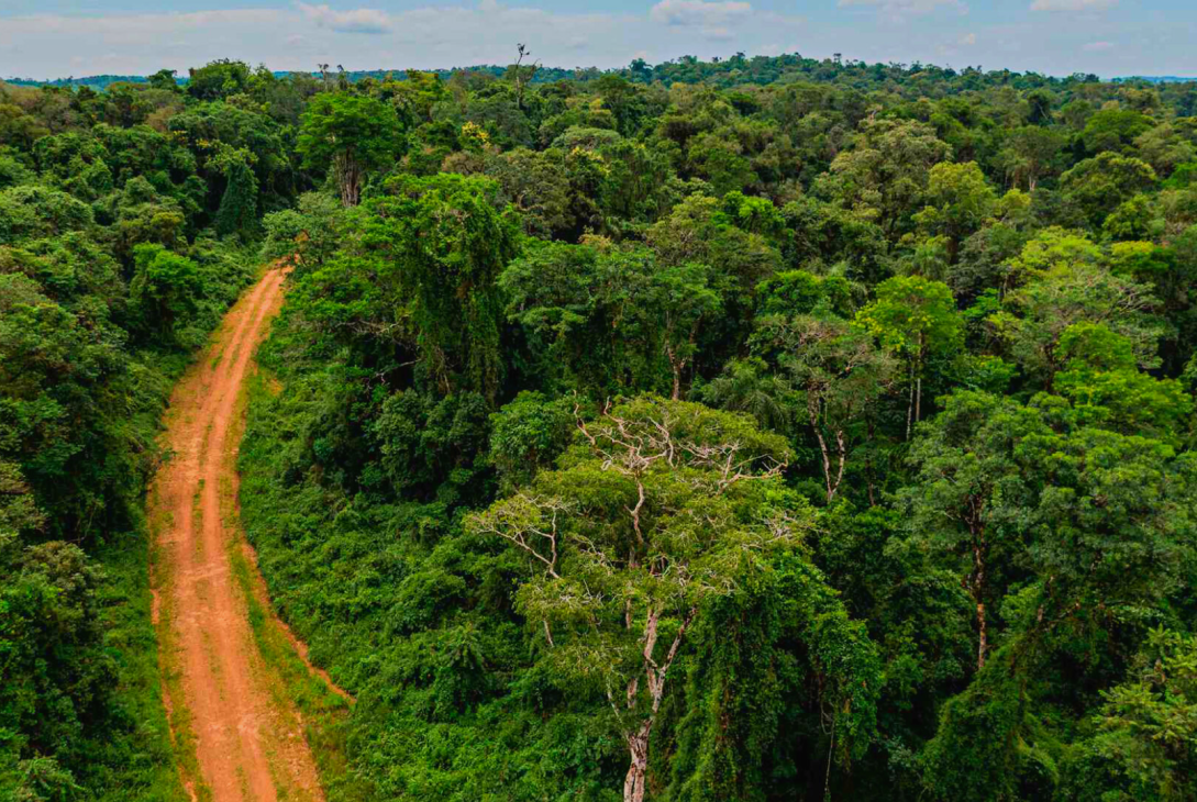 Imagen principal del articulo sobre desarrollo sustentable en Misiones y Corrientes